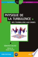 Physique de la turbulence