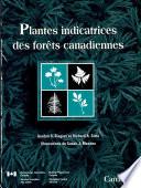 Plantes indicatrices des forêts canadiennes