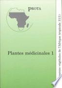 Plantes médicinales 1