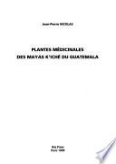 Plantes médicinales des Mayas K'iché du Guatemala