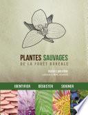 Plantes sauvages de la forêt boréale
