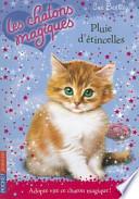 Pluie d'étincelles