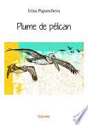 Plume de pélican