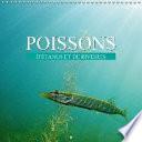 Poissons : d'étangs et de rivières