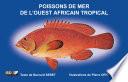 Poissons de mer de l'Ouest africain tropical
