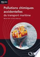 Pollutions chimiques accidentelles du transport maritime