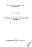 Précédents chamito-sémitiques en hébreu