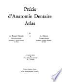 Précis d'anatomie dentaire