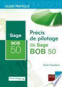 Précis de pilotage de Sage BOB 50