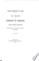 Procès de L'enfant du crapaud: affaire Camille Lemonnier, requisitoire, plaidoiries, jugement, documents