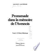 Promenade dans la mémoire de l'Avesnois: D'Aibes à Maubeuge