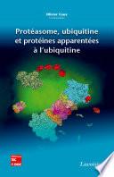 Protéasome, ubiquitine et protéines apparentées à l'ubiquitine