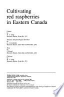 Publication