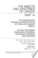Publication