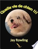 Quelle vie de chien !!!