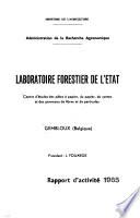 Rapport d'activité