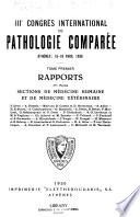 Rapports