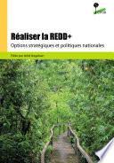 Réaliser la REDD+ : options stratégiques et politiques nationales