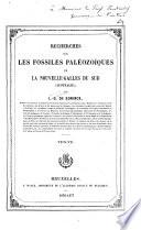 Recherchés sur les fossiles paléozïques de la Nouvelle-Galles du Sud (Australie)