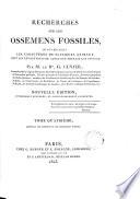 Recherches sur les ossements fossiles
