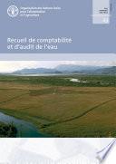 Recueil de comptabilité et d’audit de l’eau