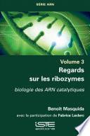 Regards sur les ribozymes