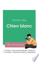 Réussir son Bac de français 2023 : Analyse du roman Chien blanc de Romain Gary