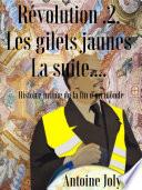 Révolution .2. Les Gilets Jaunes La suite...