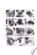 Revue roumaine d'embryologie et de cytologie