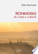 Rohingyas, de la fable à la réalité