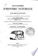 Rongeurs et pachydermes
