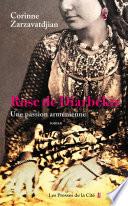 Rose de Diarbékir