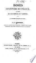 Roses cultivees en France