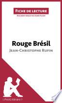 Rouge Brésil de Jean-Christophe Rufin (Analyse de l'œuvre)