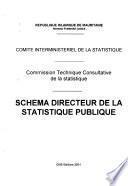 Schema directeur de la statistique publique