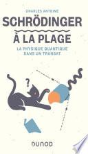 Schrödinger à la plage