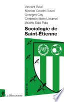Sociologie de Saint-Étienne