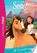 Spirit 01 - Le cheval sauvage