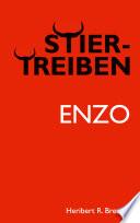 Stiertreiben