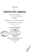 Structure des circonvolutions cérébrales