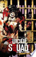 Suicide Squad - Tome 3 - Discipline & châtiment