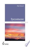 Sycomore