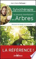 Sylvothérapie : le pouvoir bienfaisant des arbres
