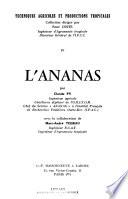 Techniques agricoles et productions tropicales