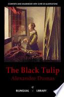 The Black Tulip - a Tulipe Noire