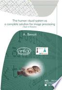 The human visual system as a complete solution for image processing