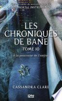 The Mortal Instruments, Les chroniques de Bane - tome 10 : À la poursuite de l'amour