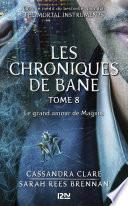 The Mortal Instruments, Les chroniques de Bane, tome 8 : Le grand amour de Magnus