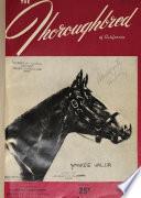The Thoroughbred of California