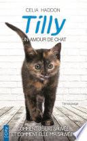 Tilly, un amour de chat
